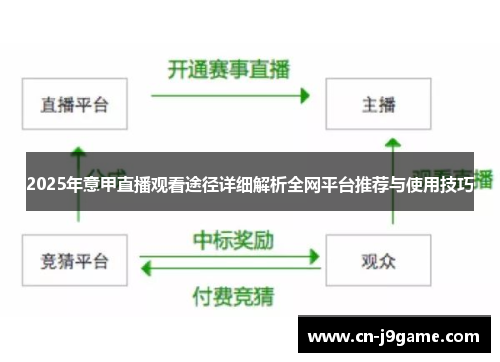 2025年意甲直播观看途径详细解析全网平台推荐与使用技巧