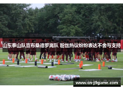 山东泰山队宣布桑德罗离队 粉丝热议纷纷表达不舍与支持